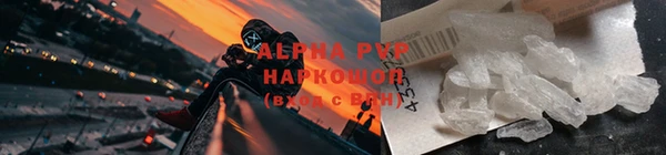 шишки Бикин