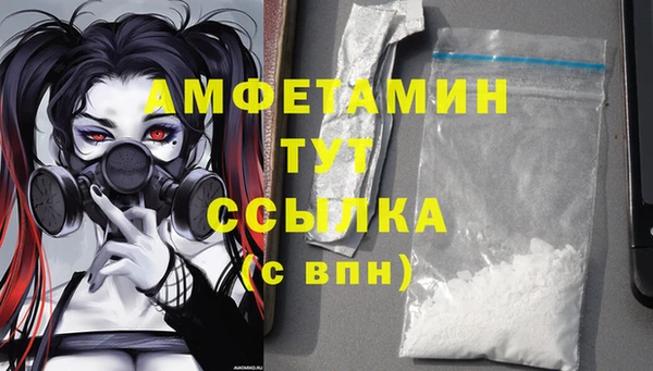 шишки Бикин
