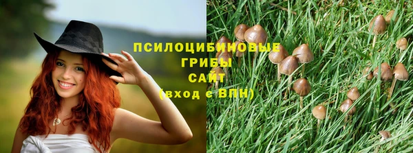 первитин Алексеевка