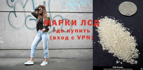 тгк Нея